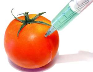 10 Problems With Genetically Modified Foods