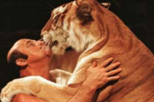A trainer and a tiger perform at a circus
