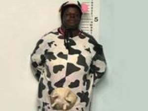 American woman dressed as a cow jailed in Ohio