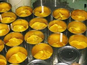 Ghana lacks mango processing plants
