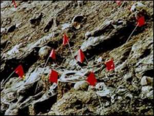 Several mass graves have been discovered near Srebrenica