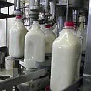 Two billion-cedi milk processing factory for Juapong