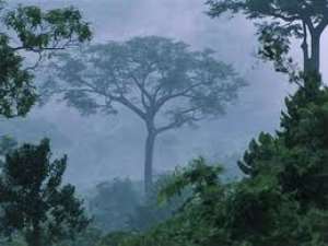 Ghanaian researchers develop strategies to conserve forest resources