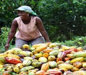Ghanaian cocoa farmers exposed to climate-smart production