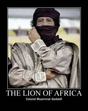 LION OF AFRICA KILLED IN COMBAT