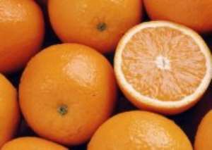Citrus farmers cry for processing factory