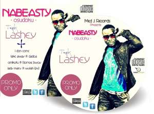 HIPLIFE STORIES.....I SING IN TWI, HAUSA, KROBO AND GA...SAY NABEASTY...OUT WITH I DON COME