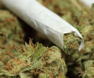 Marijuana Wee Legalisation to Be Or Not To Be