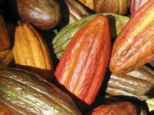 UK company to recycle Cocoa Pods