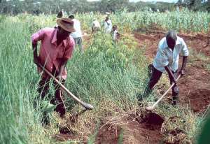 Microfinance And Agricultural Occupation