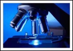 Ghana celebrates International Biomedical Laboratory Scientists Day