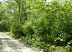 Ghana, Nigeria To Form Tourism Nucleus