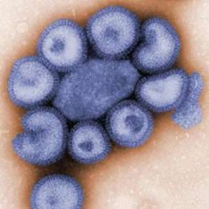 Swine flu: More UK cases confirmed