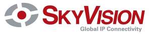 SkyVision Donates to The National Commission Against Ebola in Guinea
