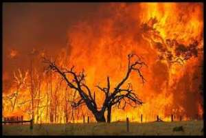 Indiscriminate bush burning, felling of tress worry to sawla district
