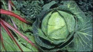 Green leafy veg, rather than a healthy diet in general, were linked to benefits