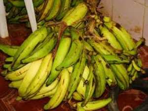 Unemployed fined GH200 for stealing GH10.00 plantain