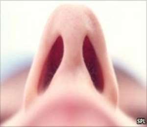 Smell is closely linked to memory
