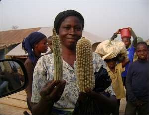 Plant breeding rights in Ghana to enhance farming and seed industry