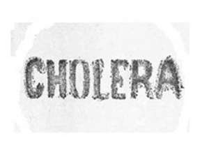 Spate of cholera epidemic puts pressure on hospital facilities