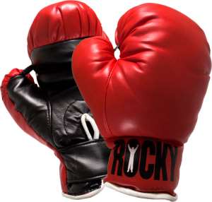 Ashie wins Commonwealth Light Weight title