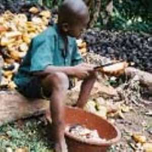Kuapa Kokoo intensifies child labour remediation action