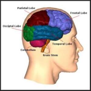 Tips To Manage Brain Tumour Patients