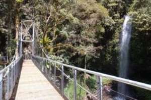 Bunso Canopy Walkway reopened