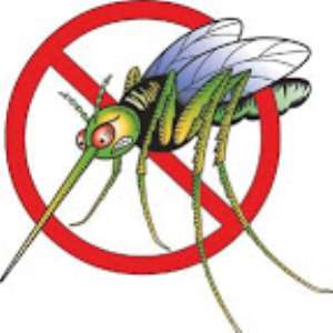 Corporate entities must execute workplace malaria activities