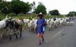 Orders to kill cattle amounts to declaring war - Fulani group
