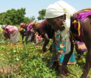 Bawku Residents Receive Training On Seed Production