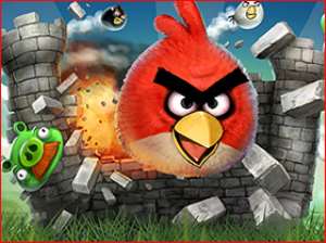 Angry birds