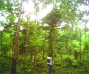Akrofo forest resource center at Jasikan.