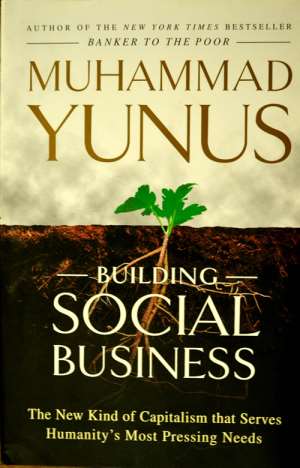 Making Sense of Social Business