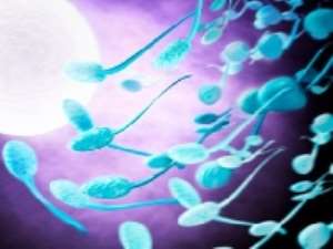 Diabetes may be damaging mens sperm - study