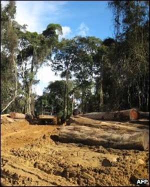 Establishing community land rights could help slow deforestation