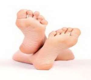Feet home to more than 100 fungi