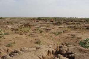 Ghana should be concerned about issues of desertification – UNCCD