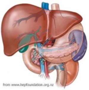 Foundation advocates national strategy on liver health
