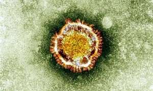 Coronavirus has Come to Reinforce Ghana's Determination to Industrialise