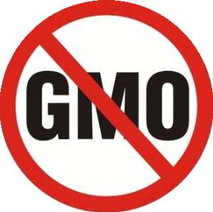 Hormones Matter! Kick GMO Out!!