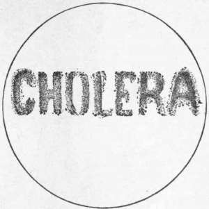 Cholera outbreak disturbing - community pharmacist
