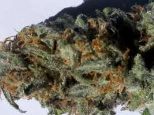 Court sentences Nigerian narcotic dealer to 10 year jail-term