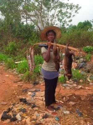 SEE Mercy Johnson Risking Her Life With Deadly Ebola Virus