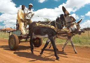 Savouring Rural Life