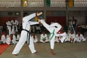 Incorporate Taekwondo training in schools – Kweku Sekyi Addo