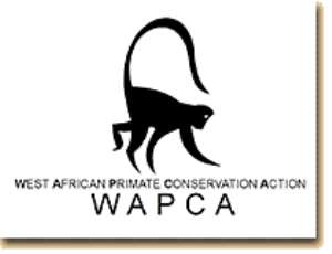 West African Primate Conservation Action commemorates 10th anniversary
