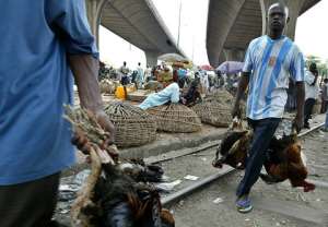 Ghana moves to ban Nigerian poultry over bird flu scare
