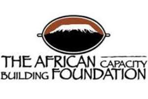 Domestic Resource Mobilisation necessary for Africa- Foundation
