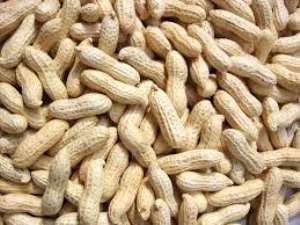 Groundnut farmers in UWR, ignorant about food laws